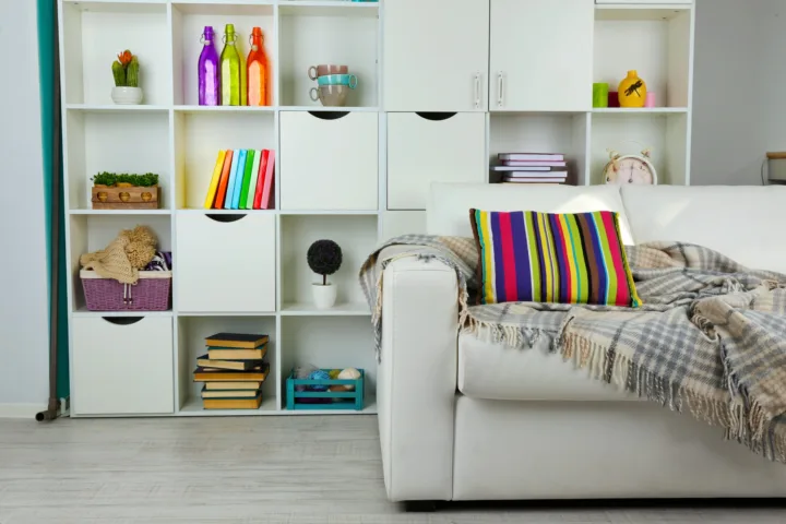 living room closet organization ideas