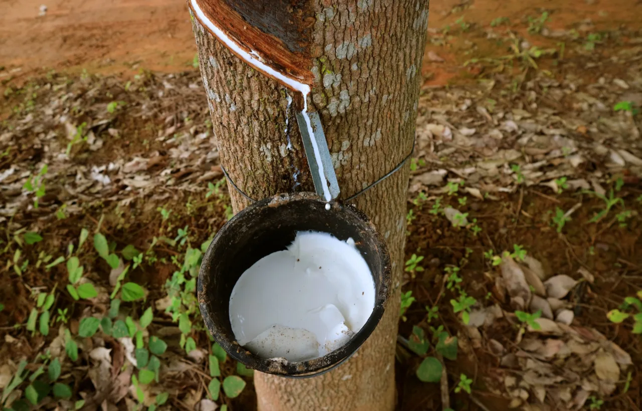 unclog milk duct