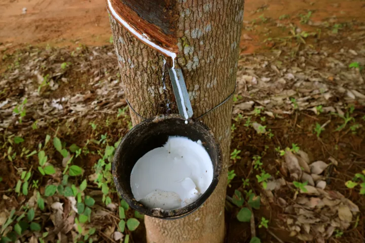 unclog milk duct