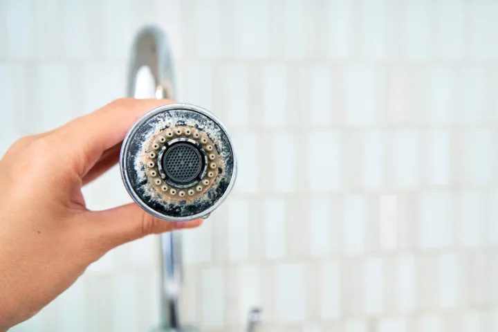 unclog shower drain