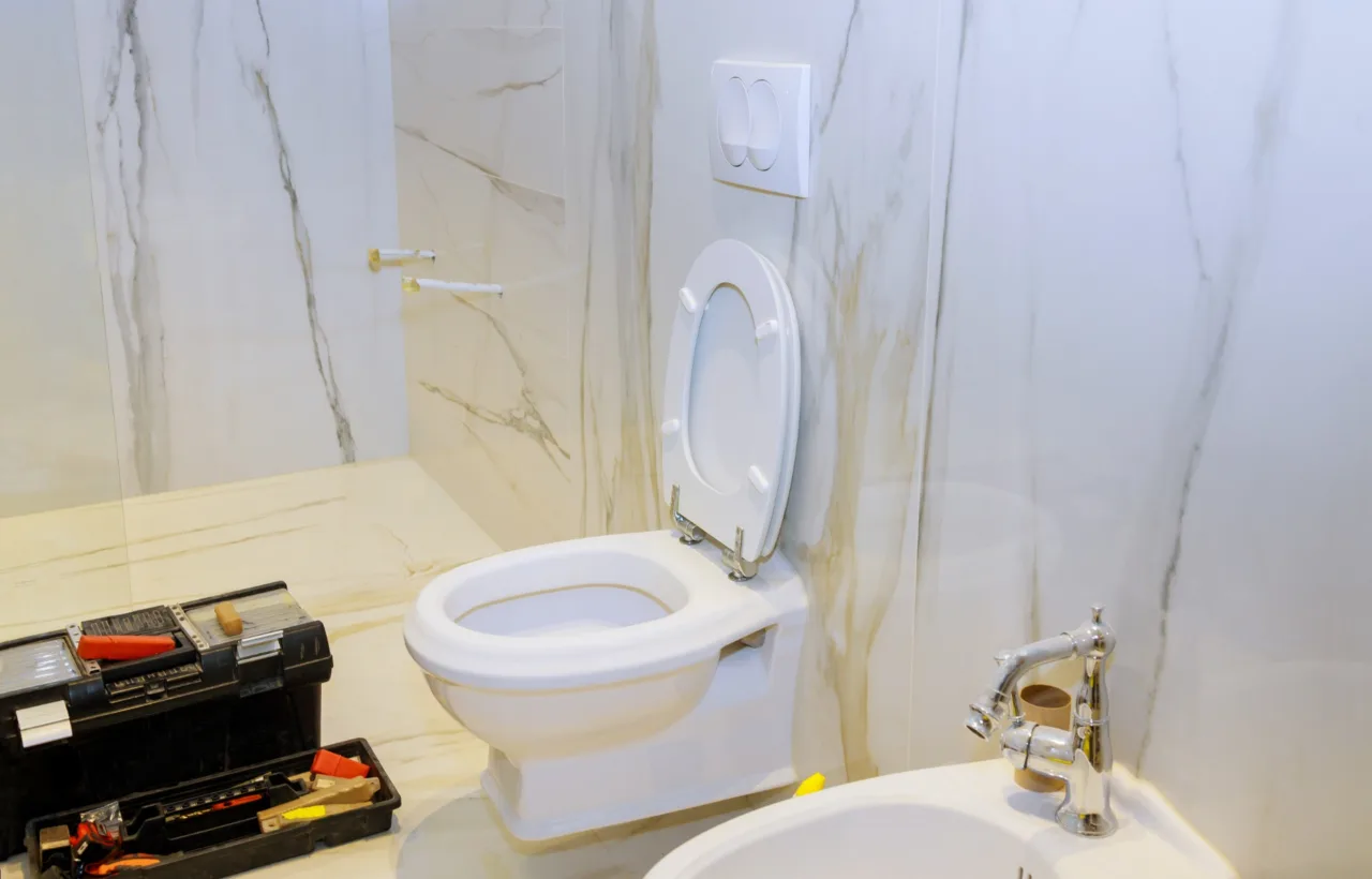 unclog toilet