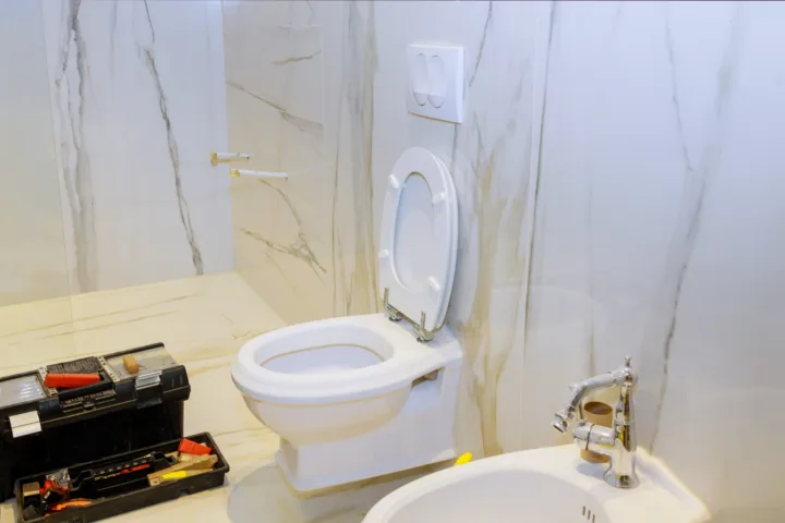 unclog toilet